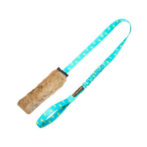 Bungee Chaser Toy